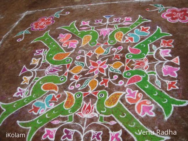 Rangoli: Parrot Jodis