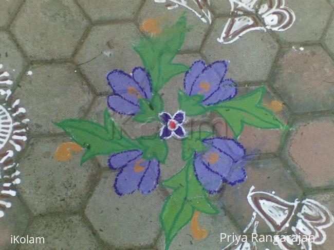 Rangoli: Rangoli