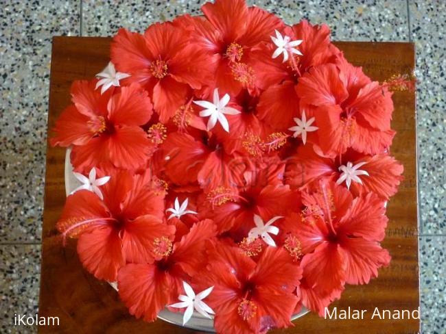 Rangoli: Hibiscus Kolam