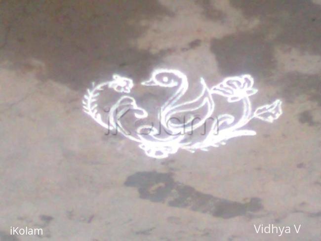 Rangoli: Duck Apartment kolam