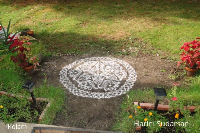 Rangoli: freehand kolam