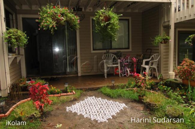 Rangoli: Dotted kolam in our beautiful garden