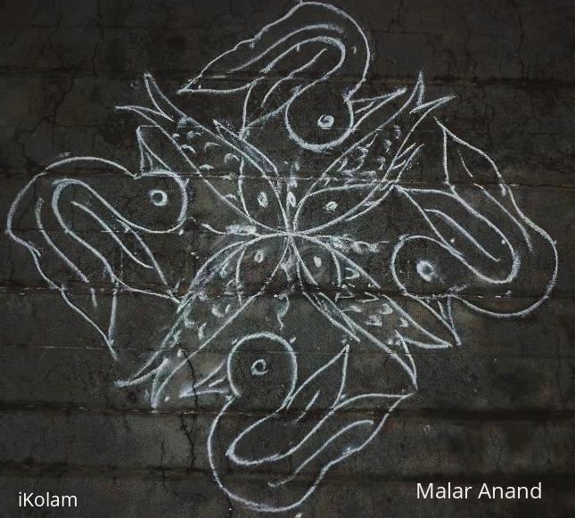 Rangoli: Fish kolam