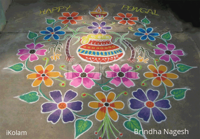 Rangoli: Pongal Rangoli