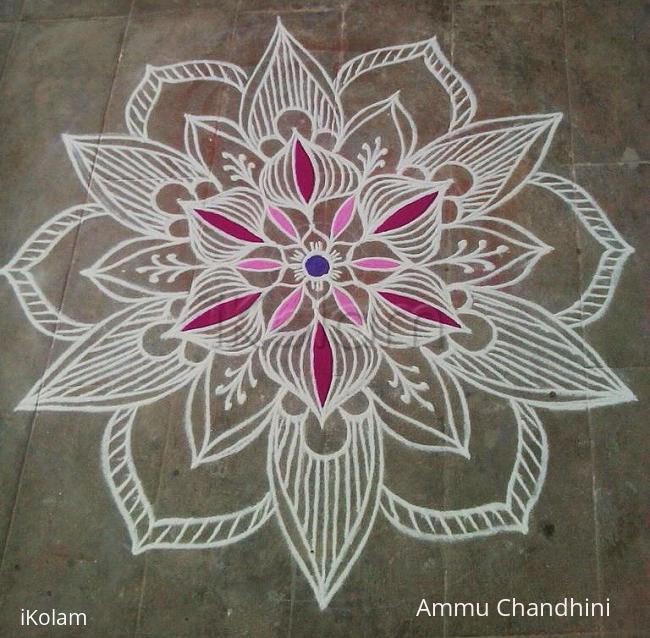 Rangoli: Rangoli