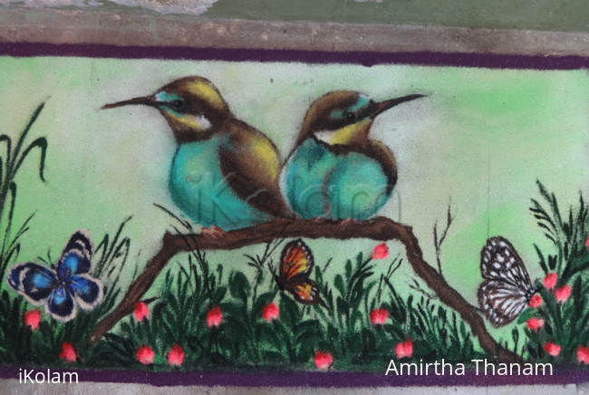 Rangoli: Birds