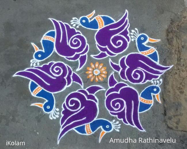 Rangoli: sanghu peacock