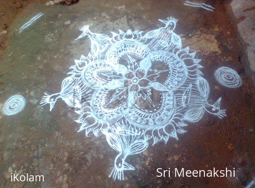 Rangoli: Wednesday's special kolam 