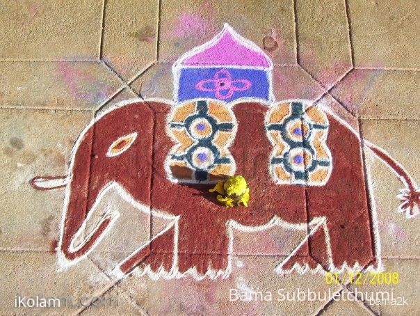 Rangoli: Elephant kolam