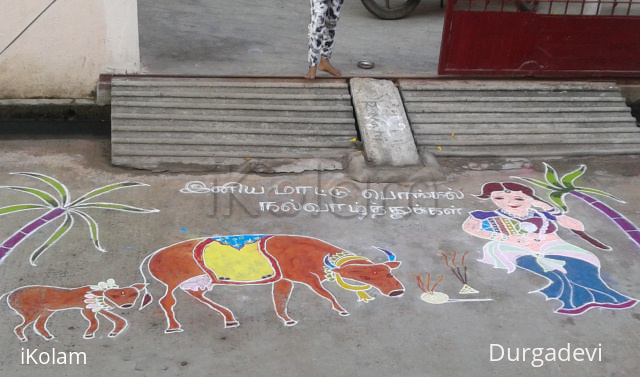 Rangoli: mattu pongal kolam