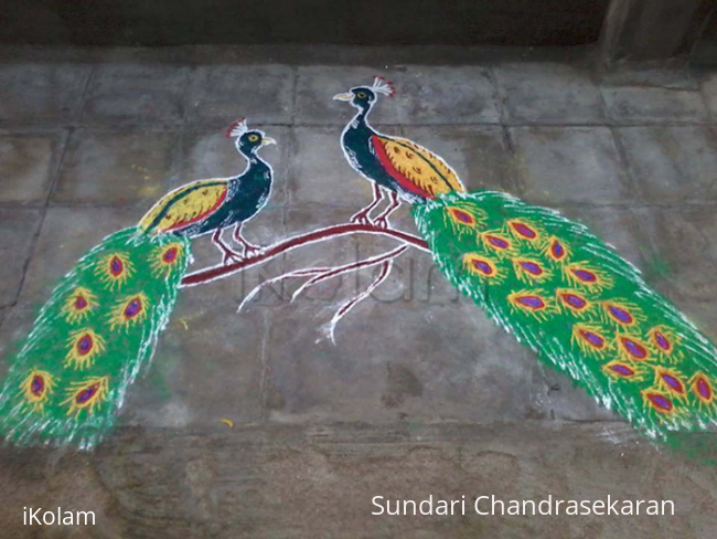 Rangoli: peacock rangoli