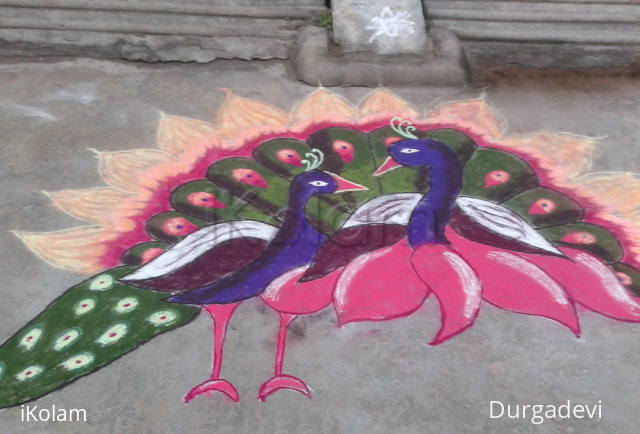 Rangoli: peacock marghazhi kolam