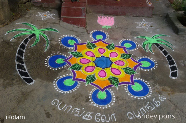 Rangoli: pongal rangoli