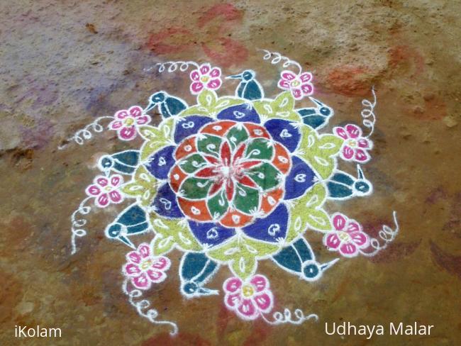 Rangoli: Rangoli