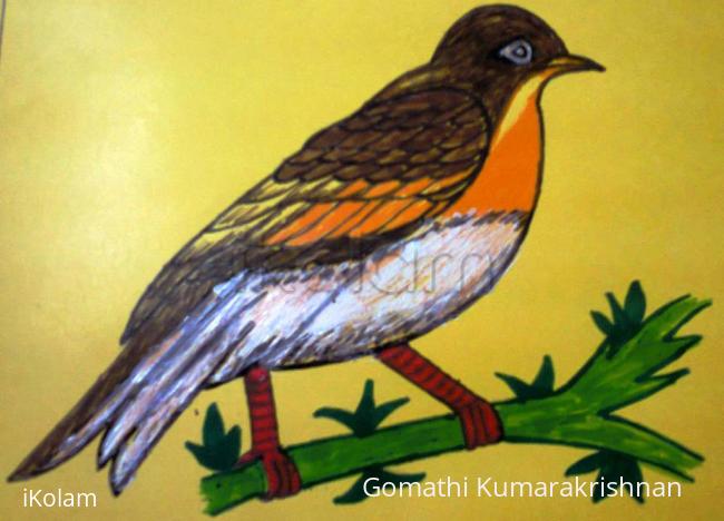 Rangoli: Robin