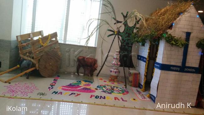 Rangoli: Pongal Decor at Work