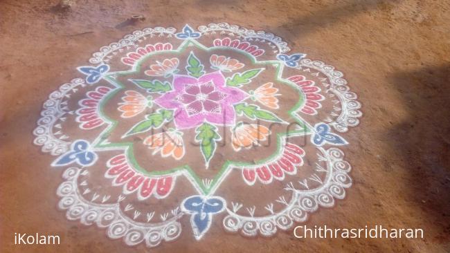 Rangoli: MARGAZHI KOLAM