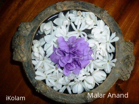 Rangoli: Violet Flowers