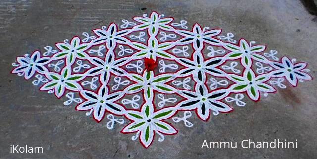 Rangoli: Margazhi  kolam on road-9