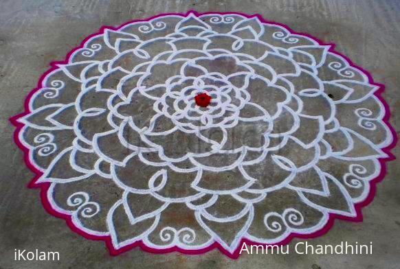 Rangoli: Special day rangoli