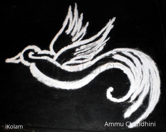 Rangoli: World sparrow day rangoli