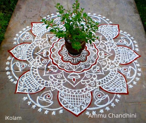 Rangoli: Varalakshmi puja spl kolam-2