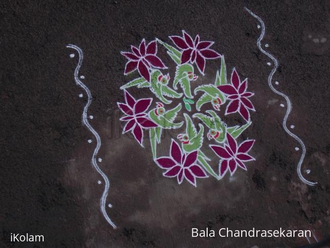 Rangoli: Margazhi kolam