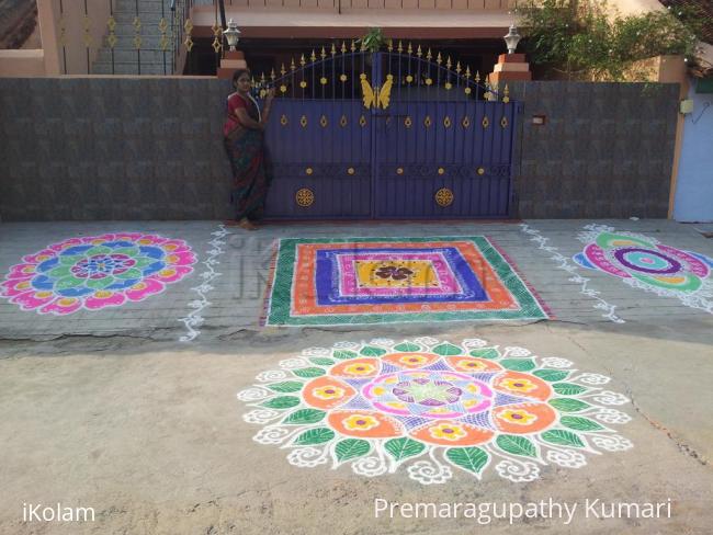 Rangoli: RANGOLI FOR THE DAY OF MATTU PONGAL (2013)