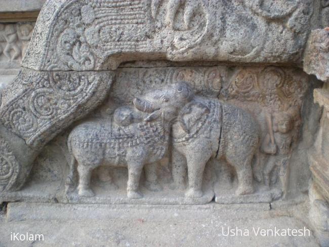 darasuram sculpture - Sculpture of Elephant and a Bull - Single piece.JPG