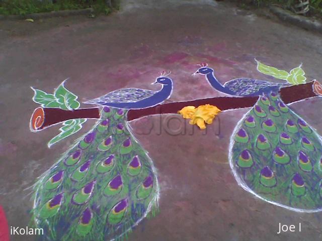 Rangoli: peacock