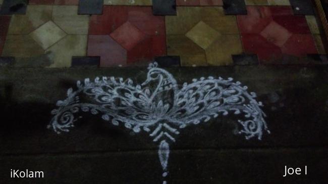 Rangoli: Peacock 