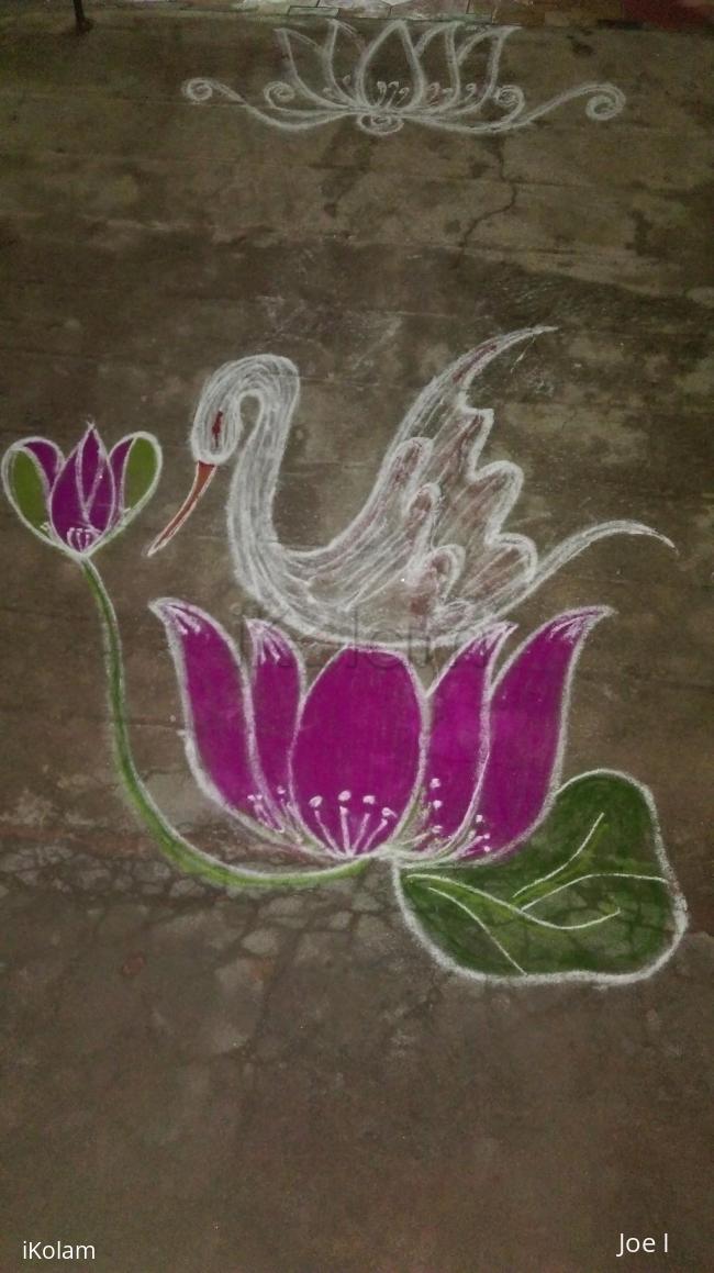 Rangoli: Swan with lotus 