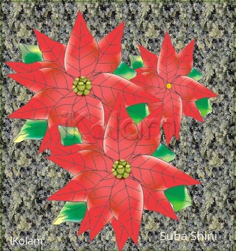 Rangoli: For poinsettia day 