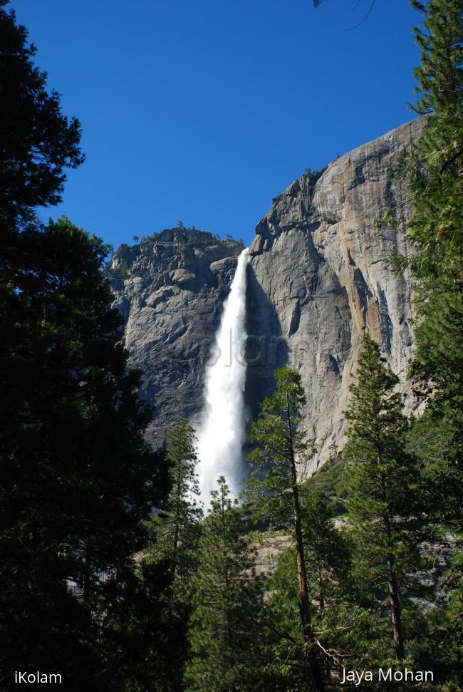 Yosemite in Spring - DSC_0105.jpg