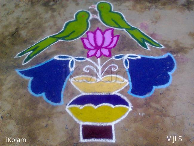 Rangoli: parrot kolam