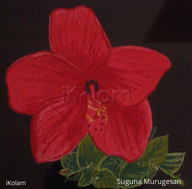 Rangoli: chembaruthi flower