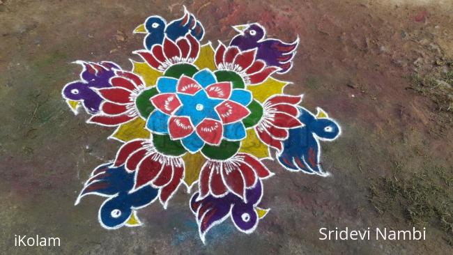 Rangoli: Lotus with bird rangoli