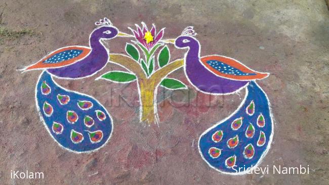 Rangoli: Peacock rangoli