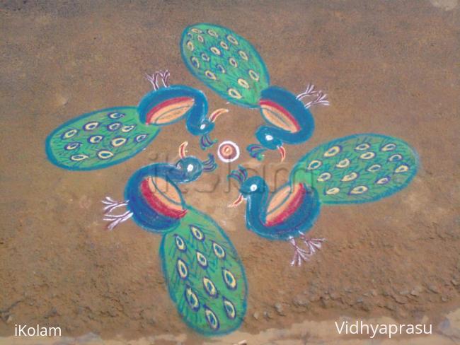 Rangoli: Lovely peacocks by my neighbour