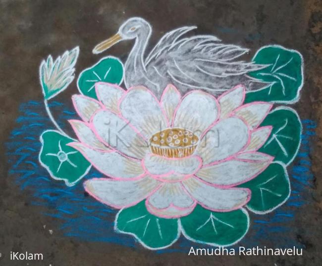 Rangoli: Lotus and Duck is waiting