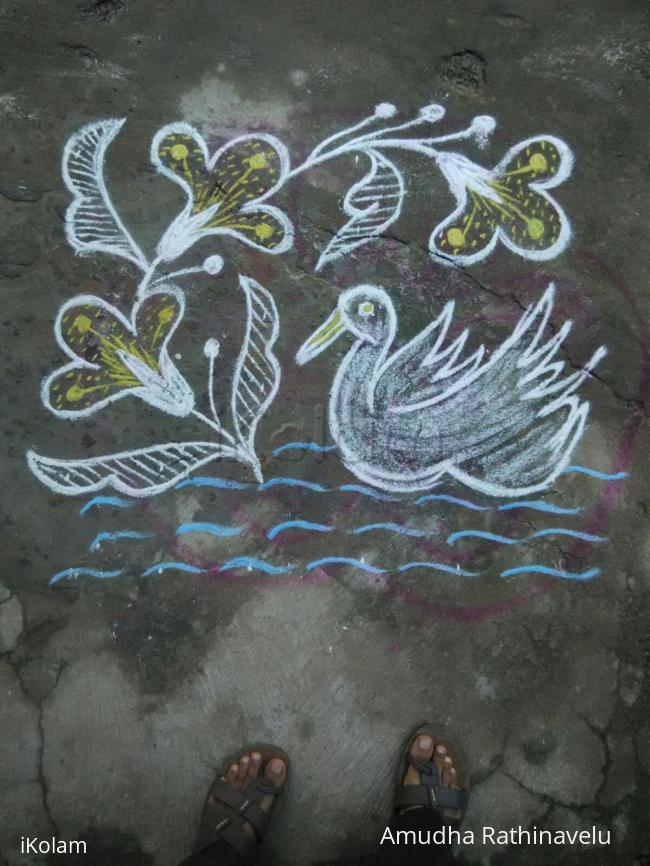 Rangoli:  7th