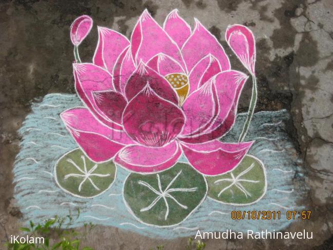 Rangoli: Lotus