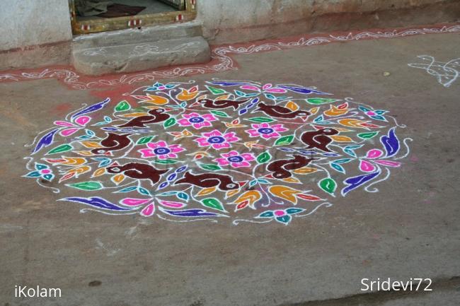 Rangoli: birds kolam