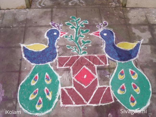 Rangoli: Twin peacock