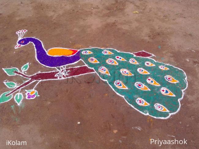 Rangoli: freehand peacock rangoli