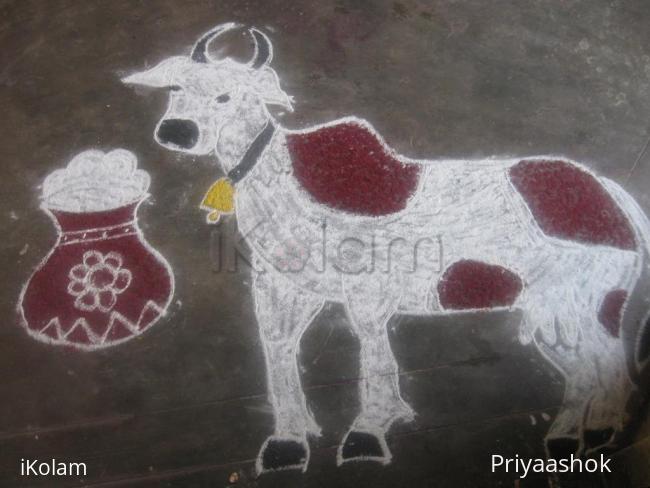 Rangoli: Mattu pongal rangoli