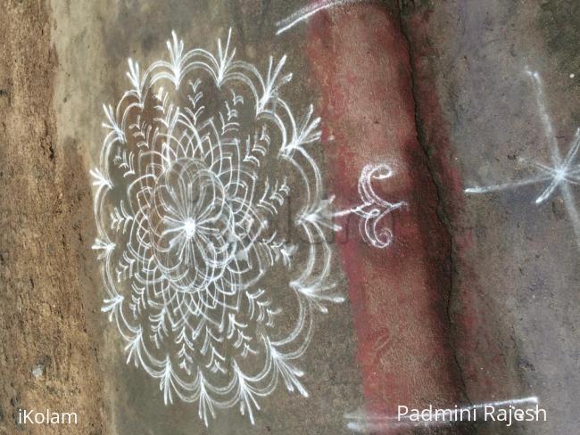 Rangoli: margazhi 2015 2016