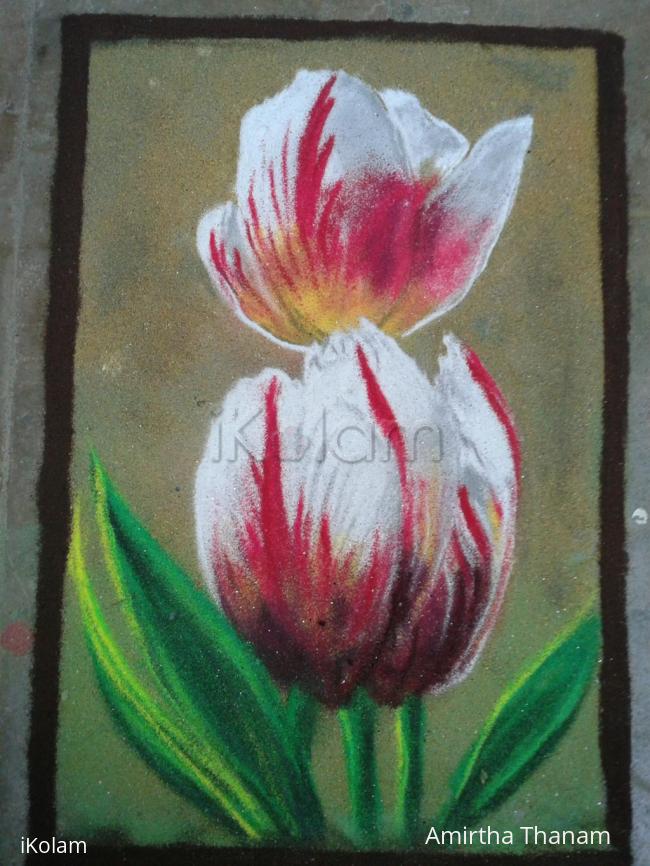 Rangoli: tulip flower