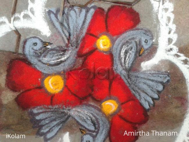 Rangoli: 5 to 3 dots birds kolam