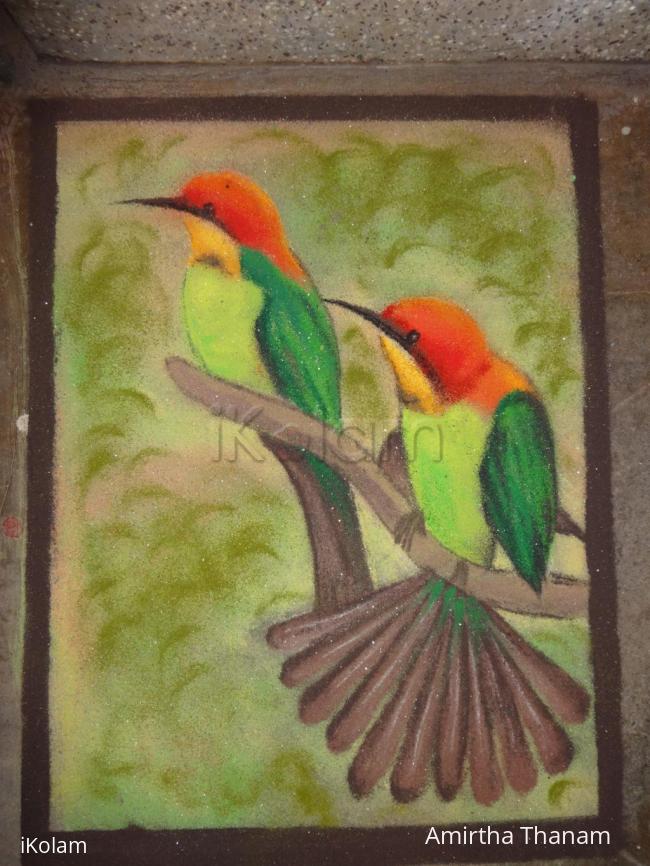 Rangoli: birds